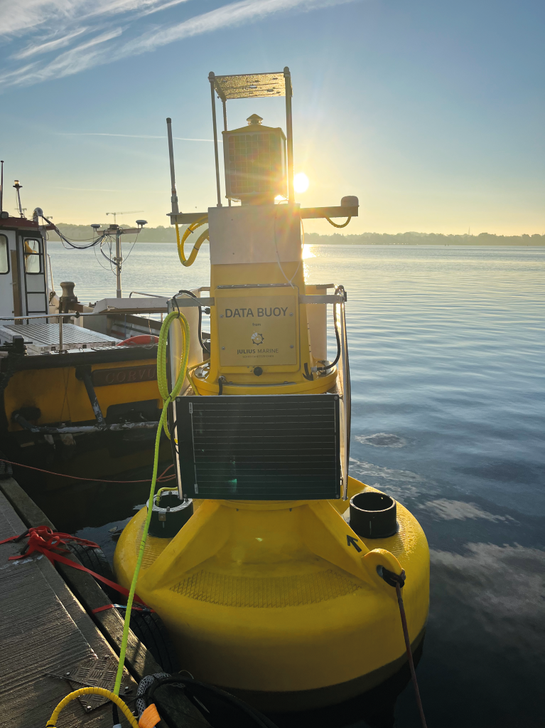 Mittlere Datentonne im Hafenbecken